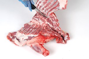 Meat Cut Spec Step 6